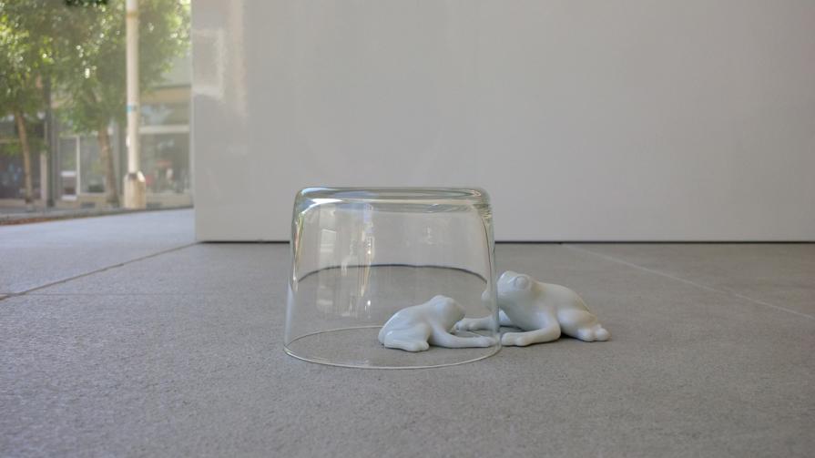 Fuori dalla mia portata