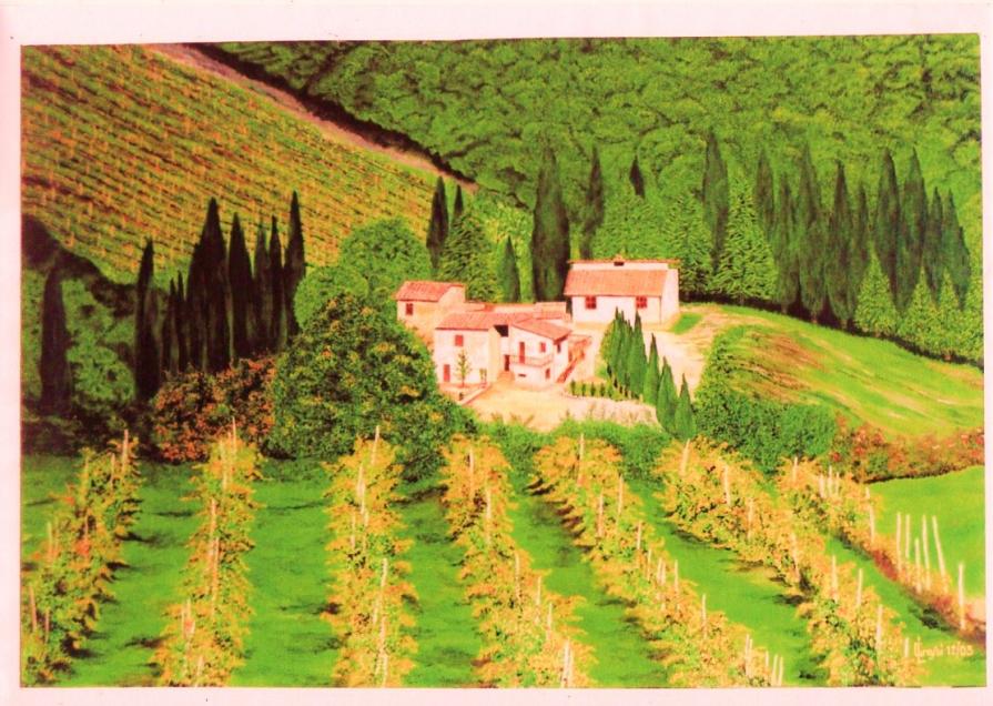 LG 0013 - Casolari con vigneti - Toscana