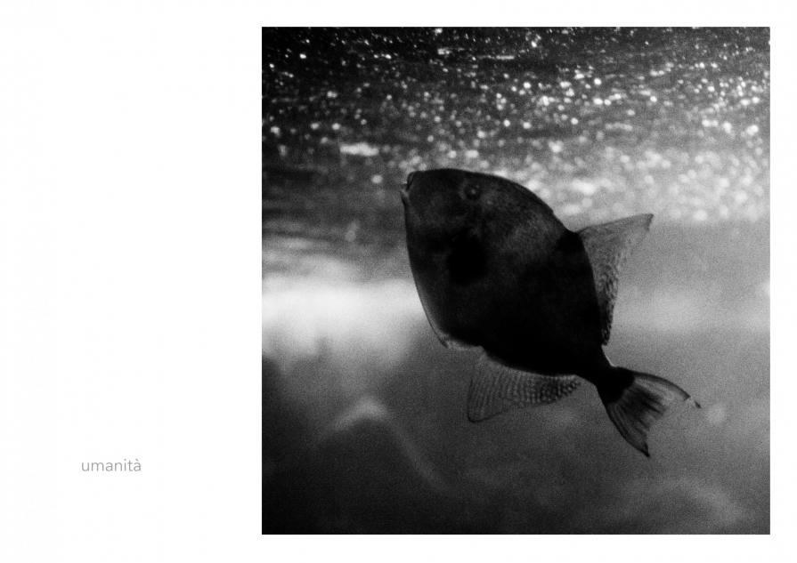 Abbecedario - Umanità