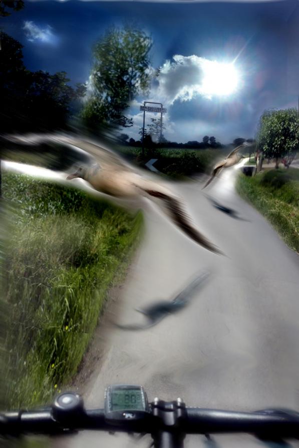 la separazione è sempre dolorosa.la dove le strade si dividono,TU PRENDI UNA STRADA DIVERSA  è solo un arrivederci.ciao IDA