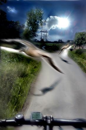 la separazione è sempre dolorosa.la dove le strade si dividono,TU PRENDI UNA STRADA DIVERSA  è solo un arrivederci.ciao IDA