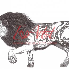 Universe - La grande storia della vita sul pianeta Terra