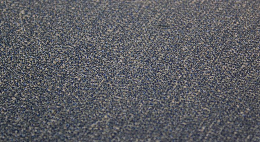 School of Fish - detail