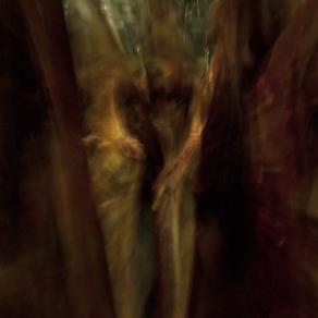 Slaughterhouse elegy