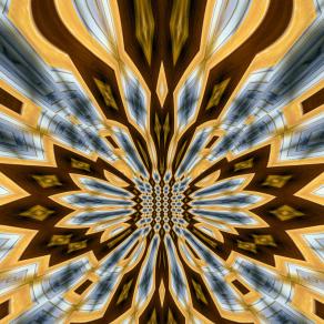 kwiaty mojego ogrodu