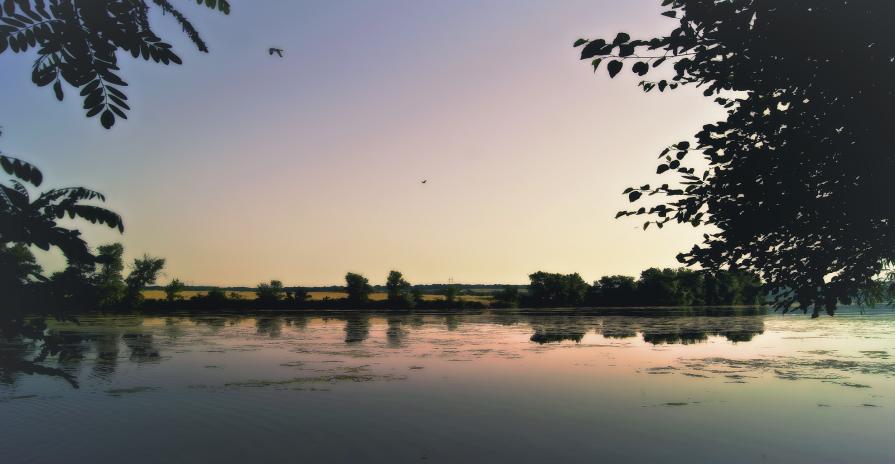 Etude #160622DSC1272.