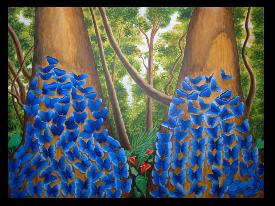 Arvi Park / Parque Arví