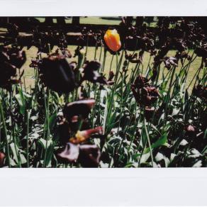 L'amore più disperato nella classifica degli amori disperati