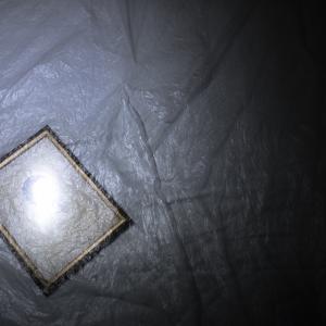 A Sky Full Of Stars For A Roof