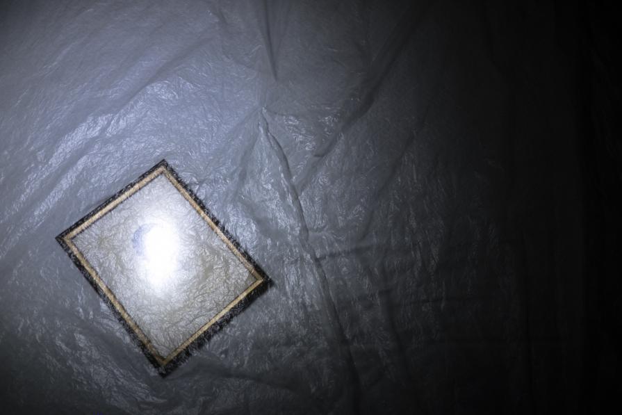 A Sky Full Of Stars For A Roof