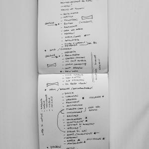 Appunti #1 Appunti #1