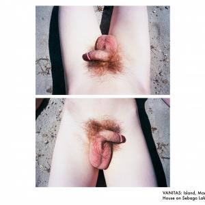 Island, Mom’s House on Sebago Lake Island, Mom’s House on Sebago Lake