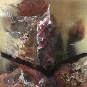 Roseo Anellide Ermafrodito