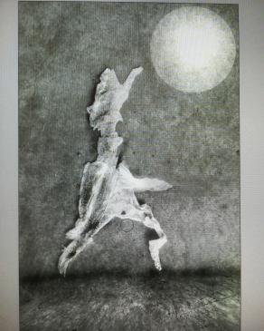 L'uomo senza qualità in movimento. 