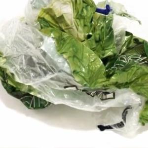 Flash Art | Giovani Video Artisti | Silvio Giordano