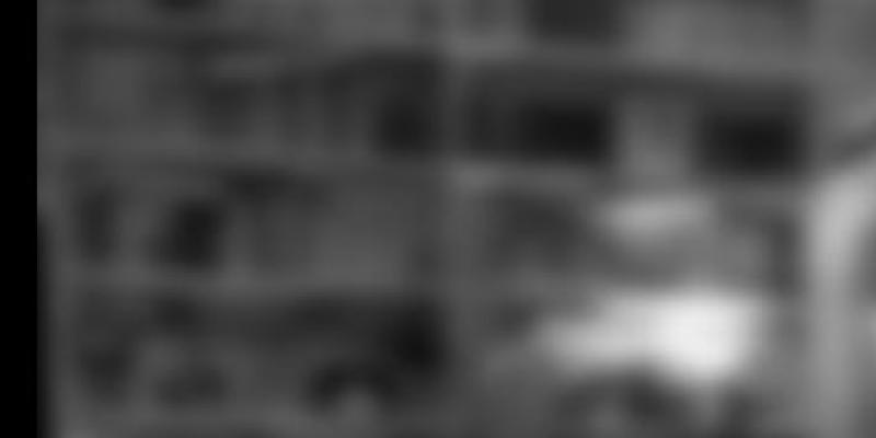 New Ground: Contemporary Printmaking