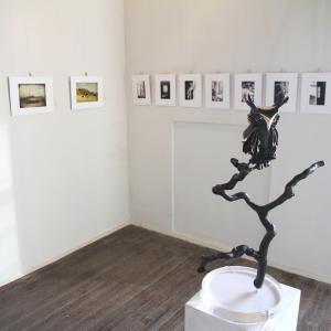 OLTRE L'OBIETTIVO - FOTOGRAFIA E SCULTURA AL CASTELLO DEI GONZAGA