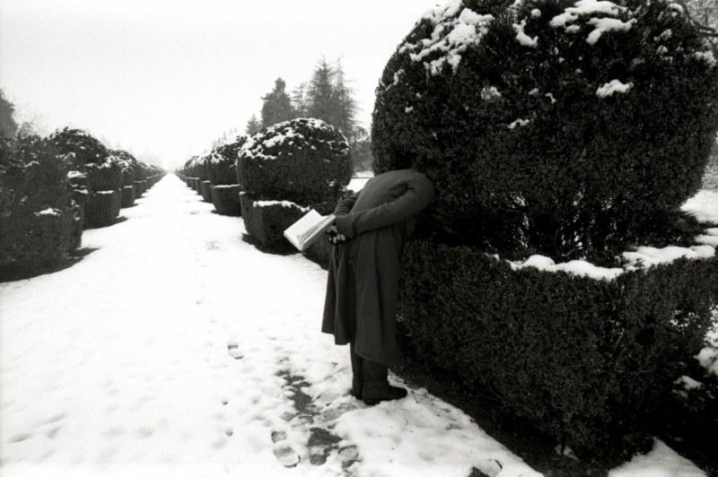 Pietro Bandini, Trame