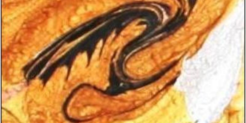 ASTA D’ARTE BENEFICA “L’ARTE DELL’ANIMA” ( Più cuore nelle mani ). Asta di beneficenza in favore delle popolazioni alluvionate delle Regioni Toscana e Liguria. ASTA D’ARTE BENEFICA “L’ARTE DELL’ANIMA” ( Più cuore nelle mani ). Asta di beneficenza in favore delle popolazioni alluvionate delle Regioni Toscana e Liguria.