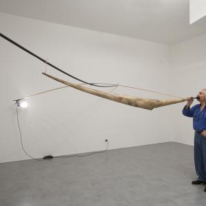 Cerimonia di consegna del Premio ANGAMC 2019 alla memoria di Pasquale Ribuffo