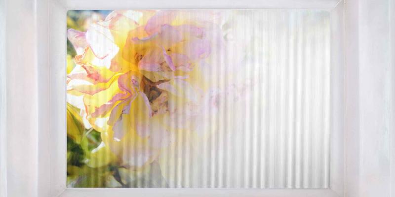 BAROQUE - Chiara Dynys