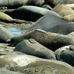 Argentina. Patagonia