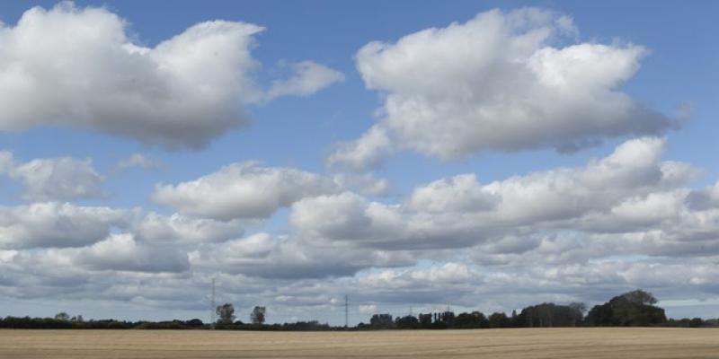 Achim Ripperger e Rita Antonioli, Fuori dalle radici 