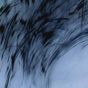 Il sorriso di Roberta per l'UNICEF - Progetto "100% Vacciniamoli tutti" Il sorriso di Roberta per l'UNICEF - Progetto "100% Vacciniamoli tutti"