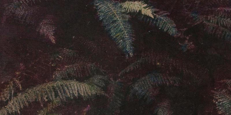 RAN di Iacopo Luchini RAN di Iacopo Luchini