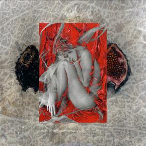 Soqquadro partecipa a CATS