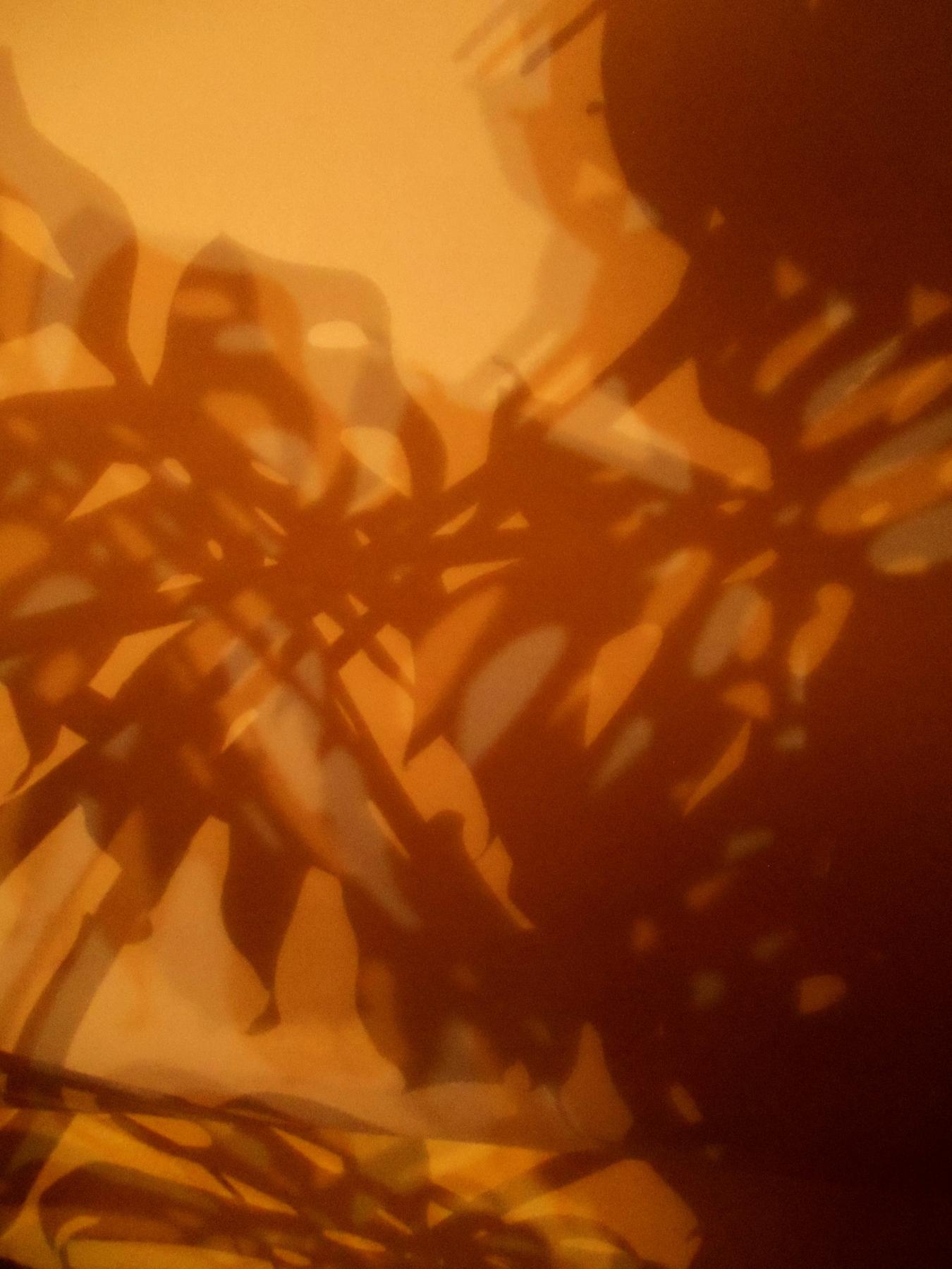 BIENNALE INTERNAZIONALE D'ARTE SU FACEBOOK