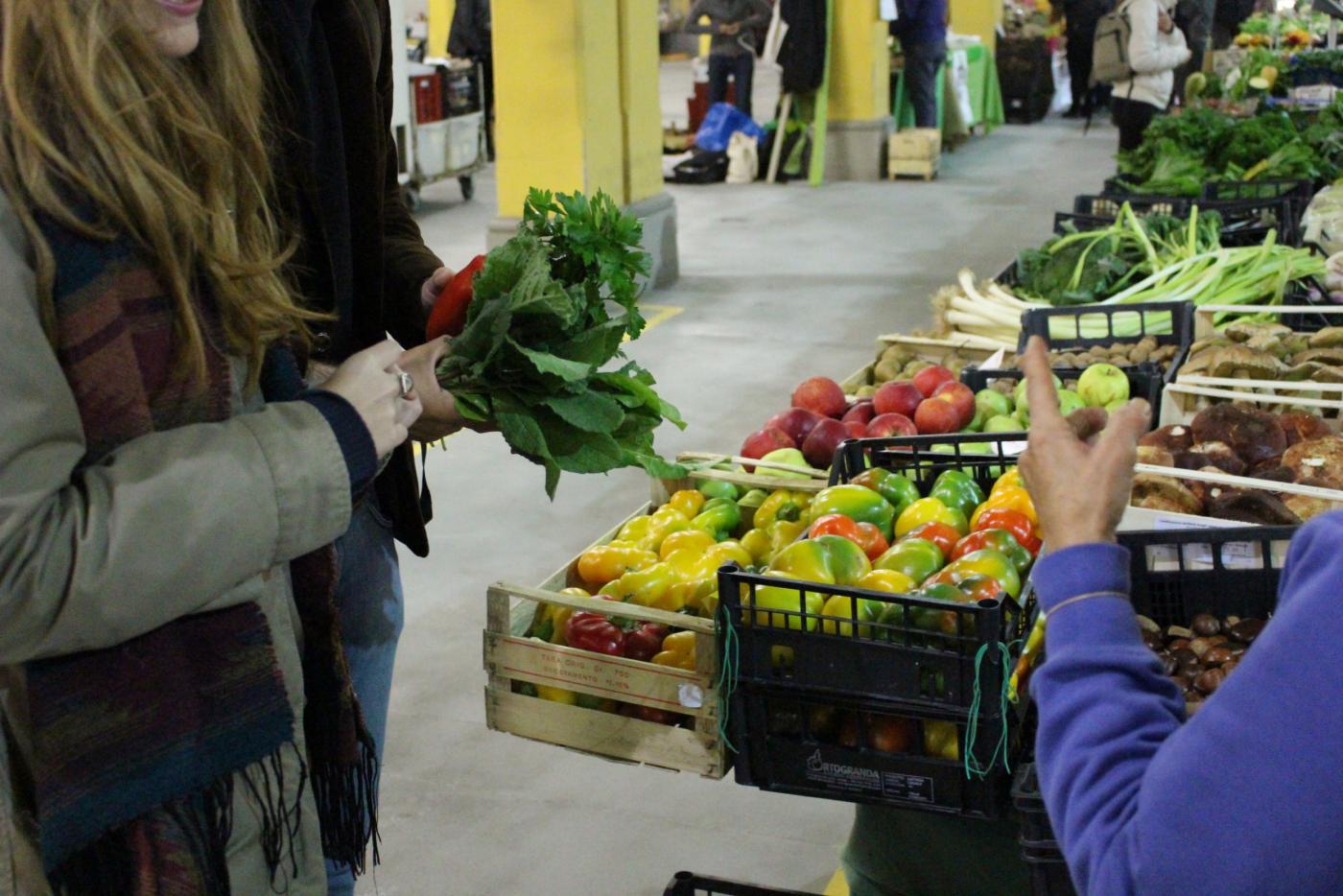 Market zone, esposizione itinerante sul tema del mercato a Cuneo e Nizza