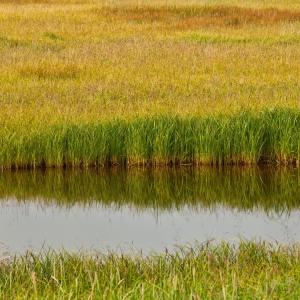 USA. Alaska 3/3. Indagine sulla materia pura