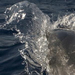 "mare rumore e silenzi"