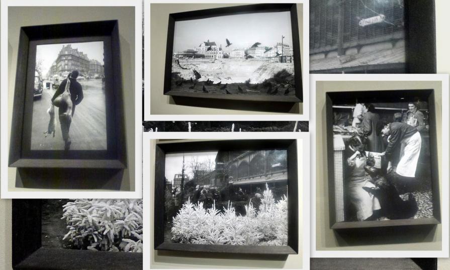 Doisneau , des photos...