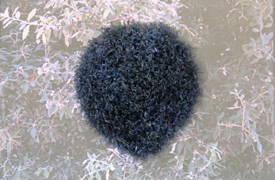 GHILGULGAL REGINA DI VENTO