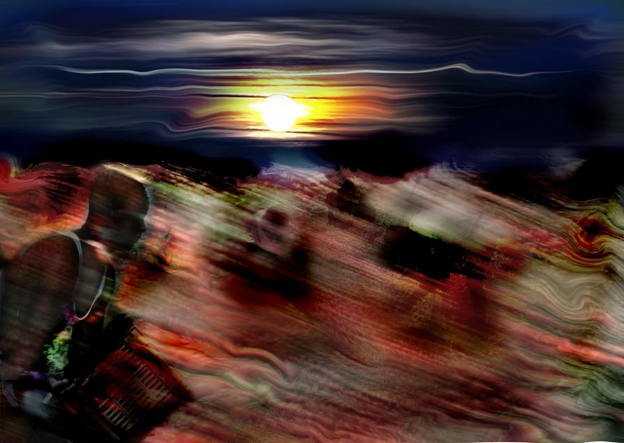 raccolgono pomodori fino altramonto per una manciata di monete.