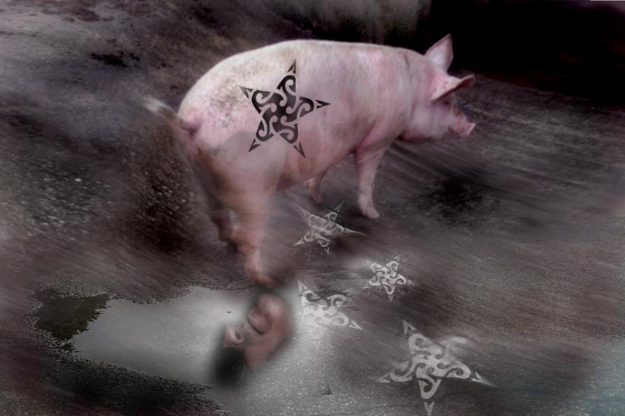 l'ignoranza una brutta bestia..... ( la caduta di una stella ).