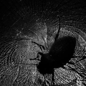 Il dramma di esserci 