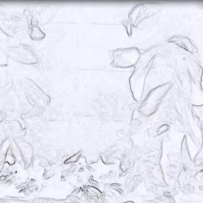 "tHe bIrDmAn".... wHat iS tHe sToRy..... bookprjoject