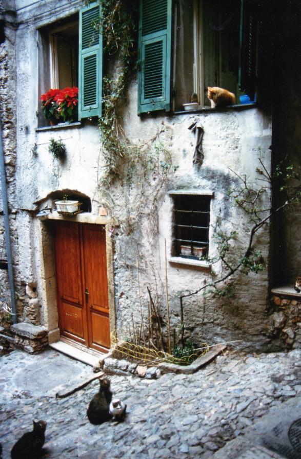 Serenata per una gatta