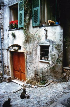 Serenata per una gatta