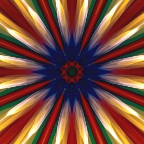 kwiaty mojego ogrodu