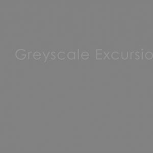 Greyscale Excursion Greyscale Excursion
