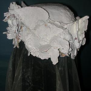 La materia prende forma e teoria del metamorfismo cromatico La materia prende forma e teoria del metamorfismo cromatico