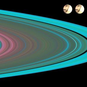 O Rose, thou art sick!