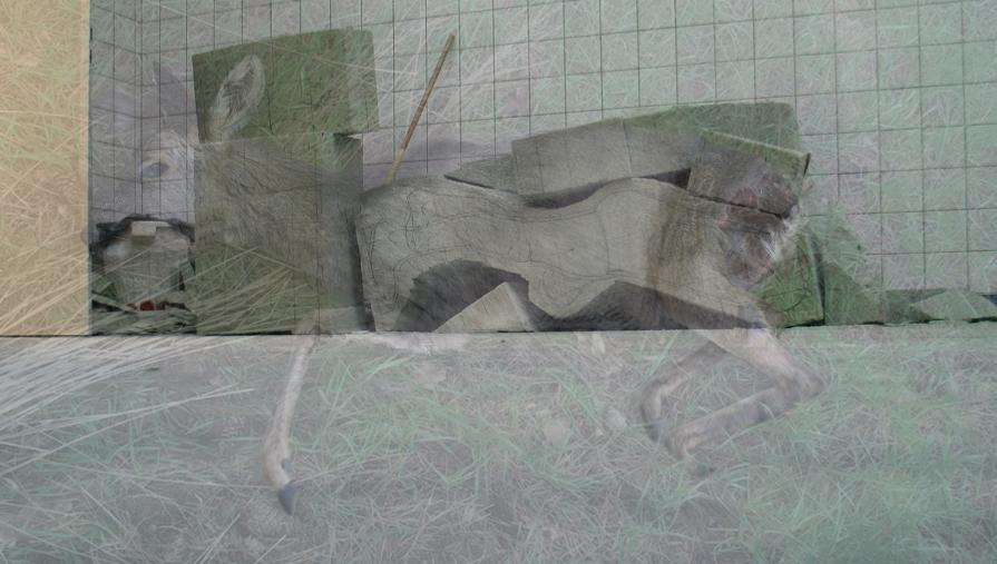 Archaic enlightening. 