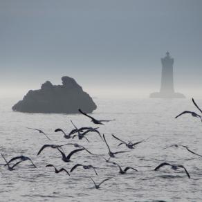 North-Sea Cliché with Light House
