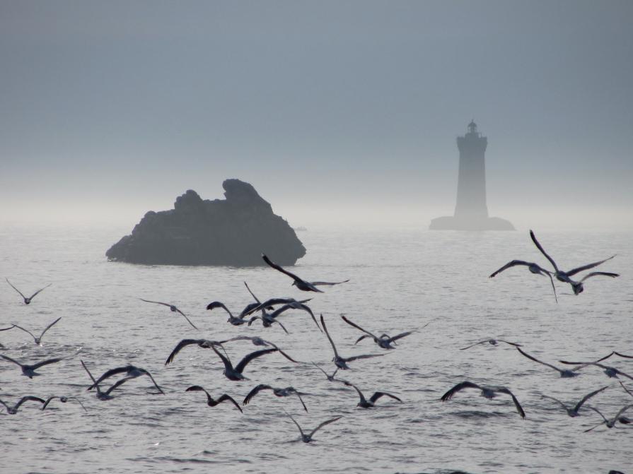 North-Sea Cliché with Light House North-Sea Cliché with Light House