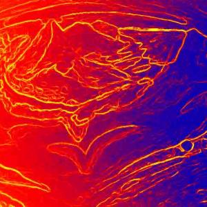 short befor hormonen mix